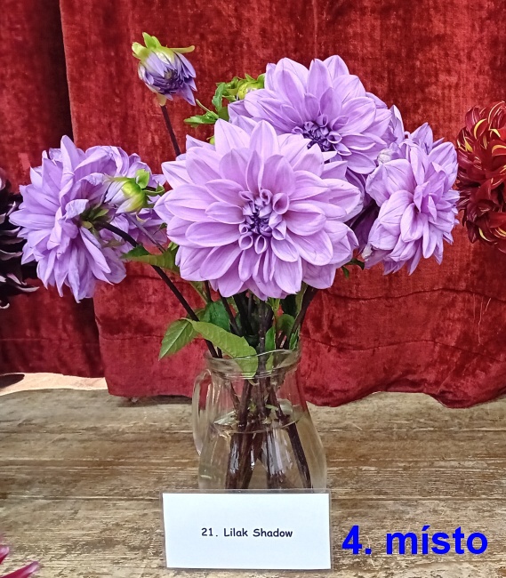 06-4 misto.jpg